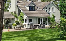 Drumee Lodge Boutique B And B, Newcastle, County Down